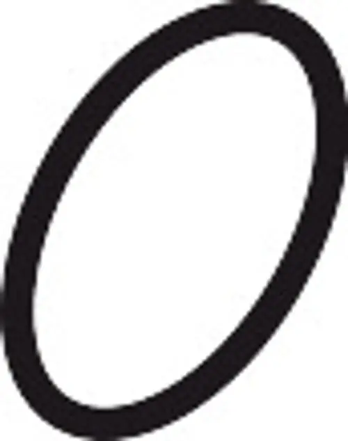 Schwarzer O-Ring aus Gummi in kreisförmigem Design. Verwendung in Sanitärinstallationen, möglicherweise von der Marke Hansgrohe.
